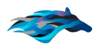 Hybridfit