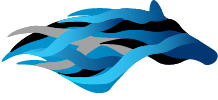 hybridfit-final-2-0_25